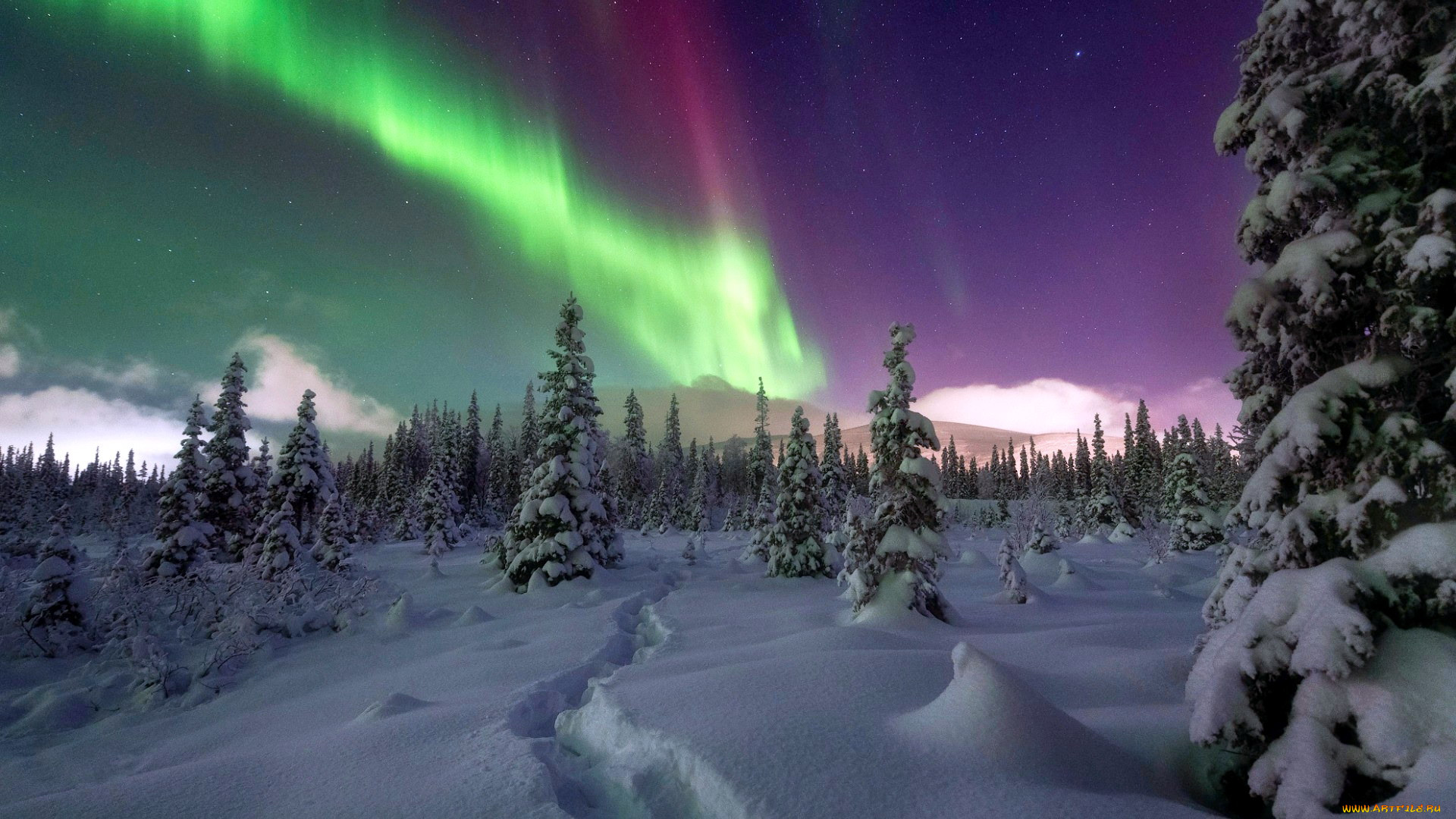 northern lights, alaska, ,  , northern, lights